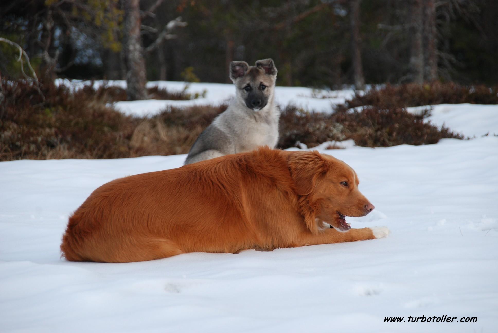 Emil & Mauser